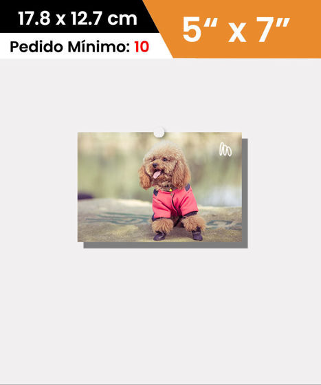 ClassiPic 5X7" | Fotos Clásicas