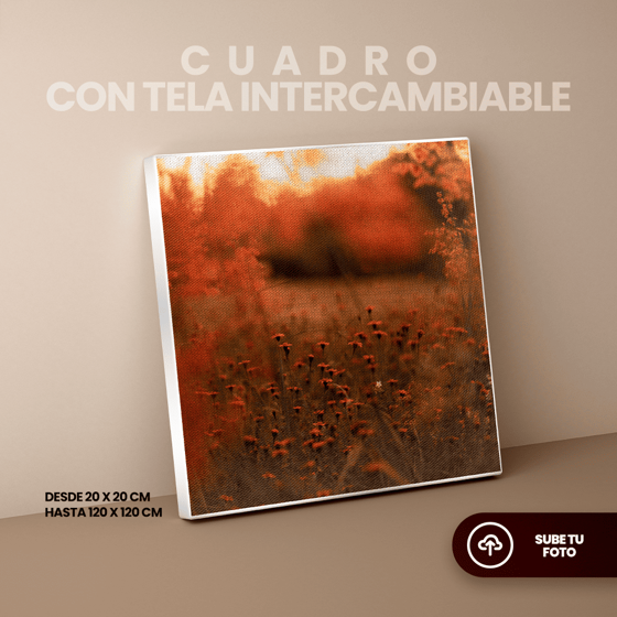 Cuadro Magic Frame personalizado con tu imagen, impreso en tela intercambiable y marco de aluminio, disponible en varios tamaños